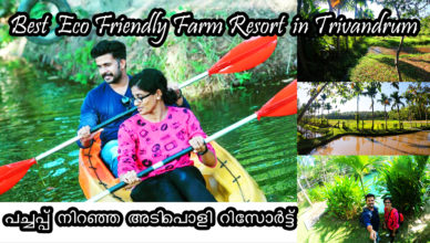 Green Tsavorite Varkala | The Best Eco Friendly Farm Resort in Trivandrum