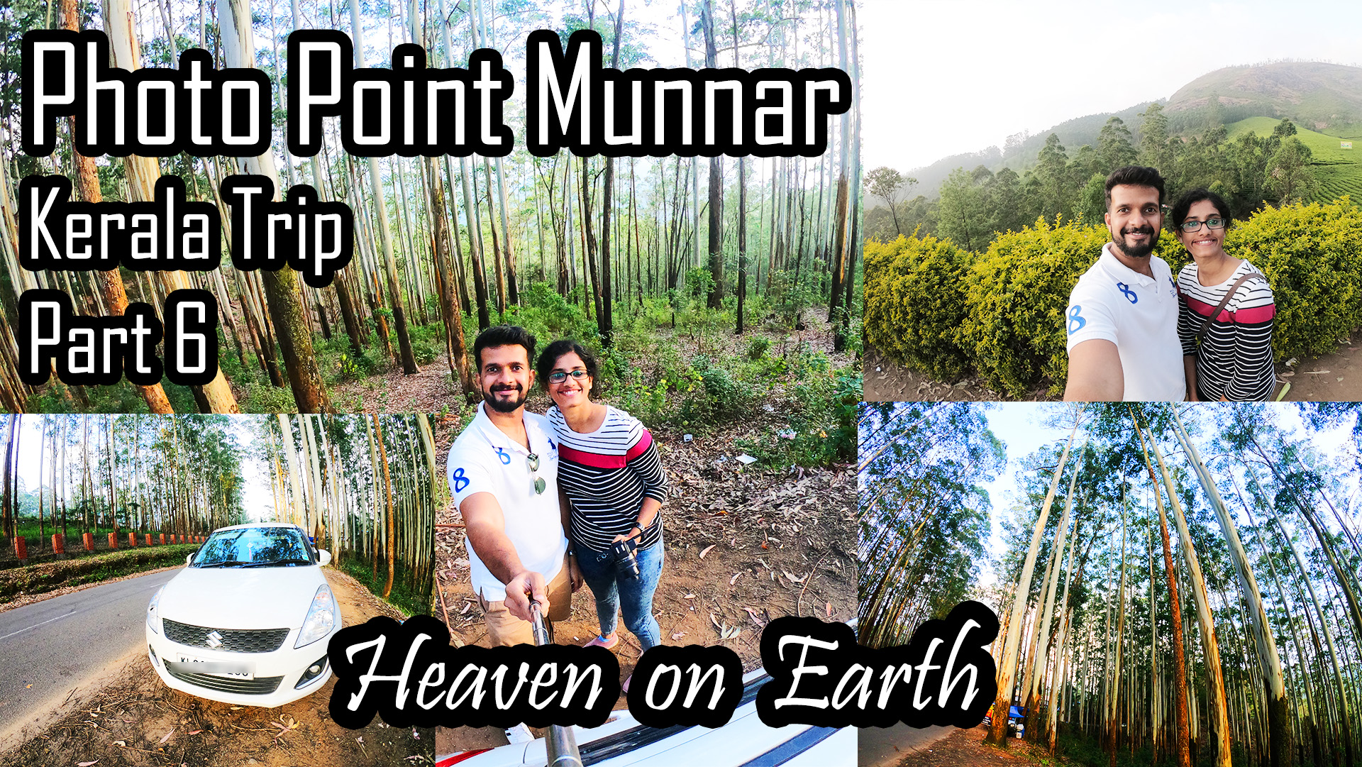 Photo points Munnar Eucalyptus Trees Tea Plantations Gardens