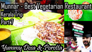 Best Vegetarian Restaurant in Munnar | Saravana Bhavan | Kerala Trip Part 7