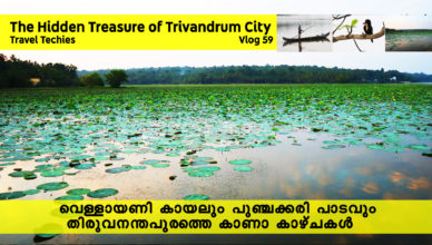 Vellayani Lake | Hidden Treasure of Trivandrum | Punchakkari