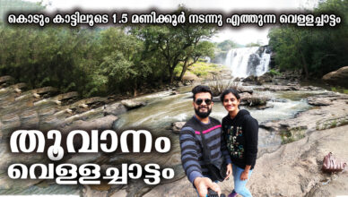 Thoovanam Waterfalls Trekking | Chinnar Wildlife Sanctuary