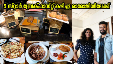 Marriott Hotel Buffet Breakfast | 500+ Dishes | Hyderabad Trip